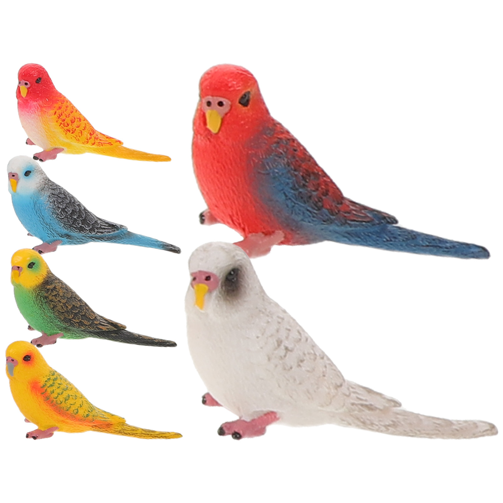 Kids Education Room - 6個入り人工リアルなインコの模型、装飾用、子供部屋の教育学習用クラフト、インコのパーティー記念品