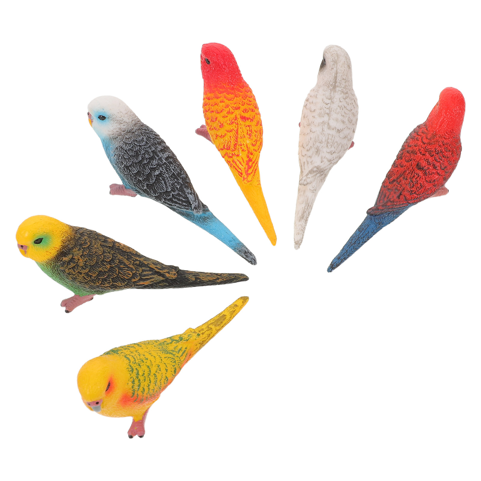 6個入り人工リアルなインコの模型、装飾用、子供部屋の教育学習 - Kids Education Room のレビューと価格