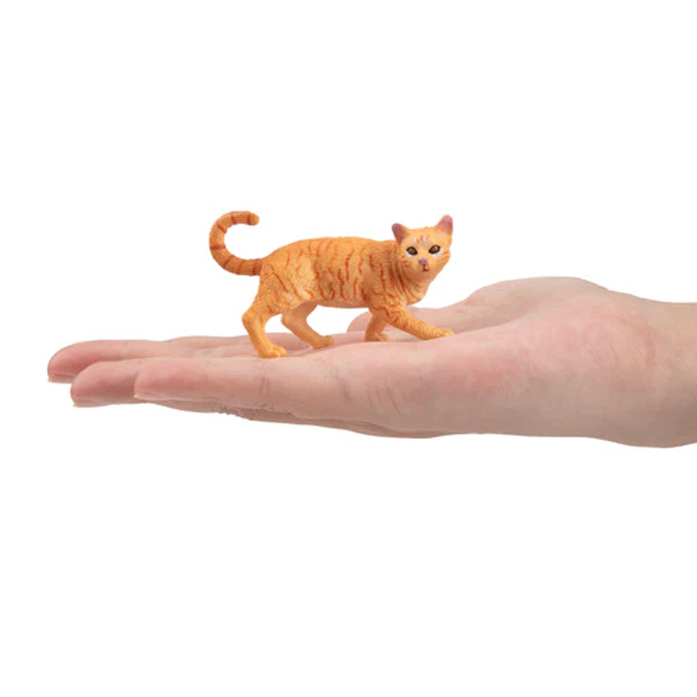 Toymany シミュレーション ストライディング オレンジ - Kids Education Yes のレビューと価格
